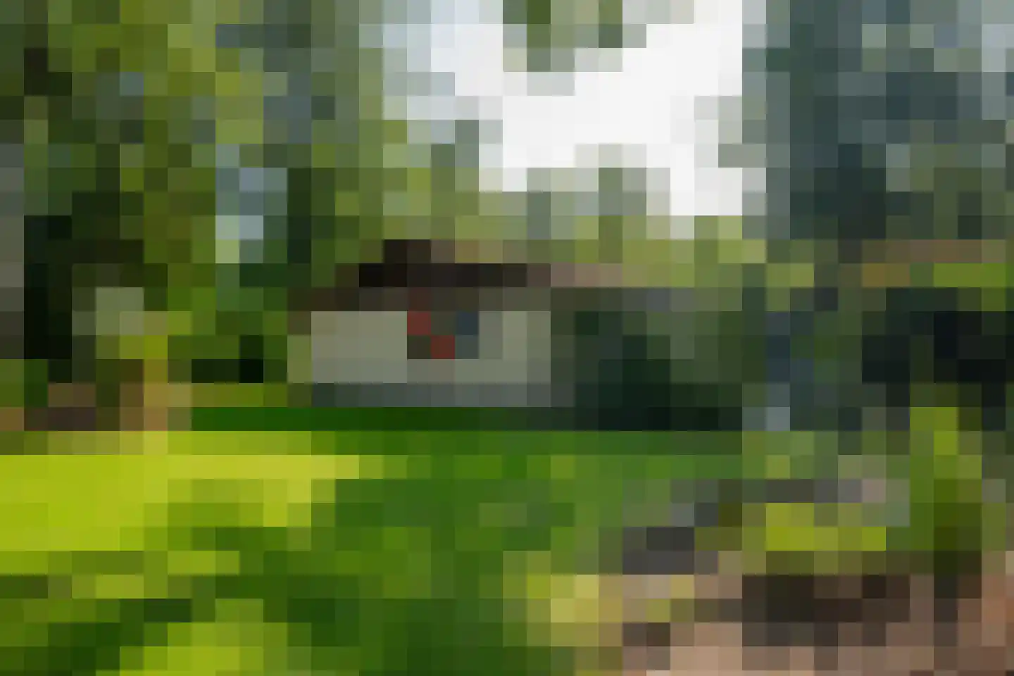 Valtherweg 36 017 Exloo thumbnail 8