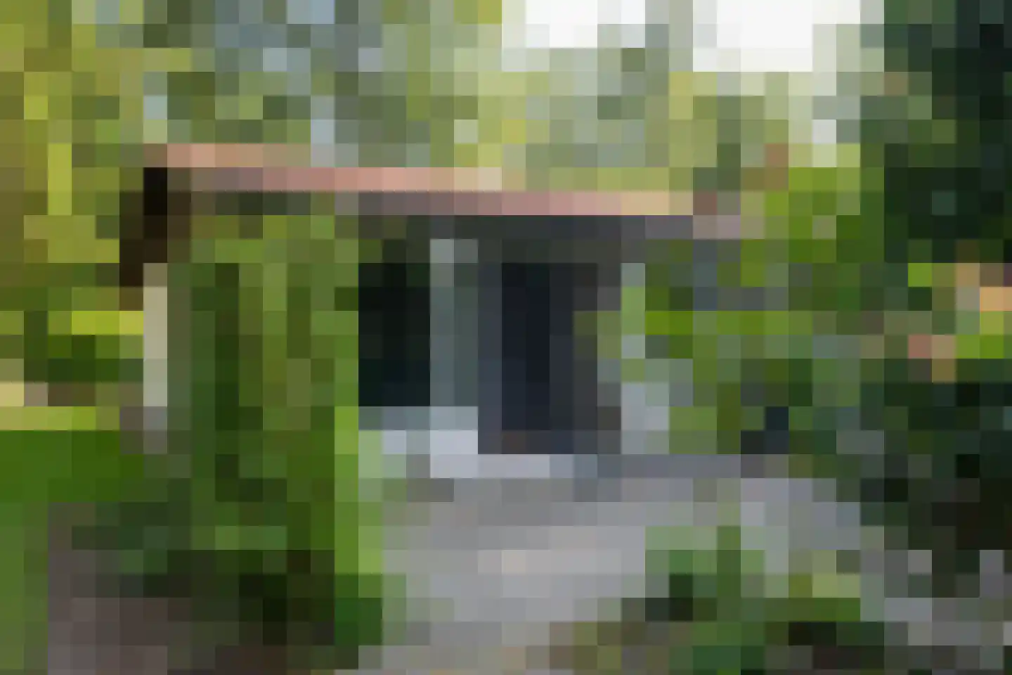 Valtherweg 36 017 Exloo thumbnail 9