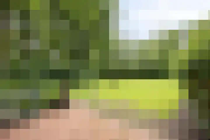 Valtherweg 36 064 Exloo thumbnail 16