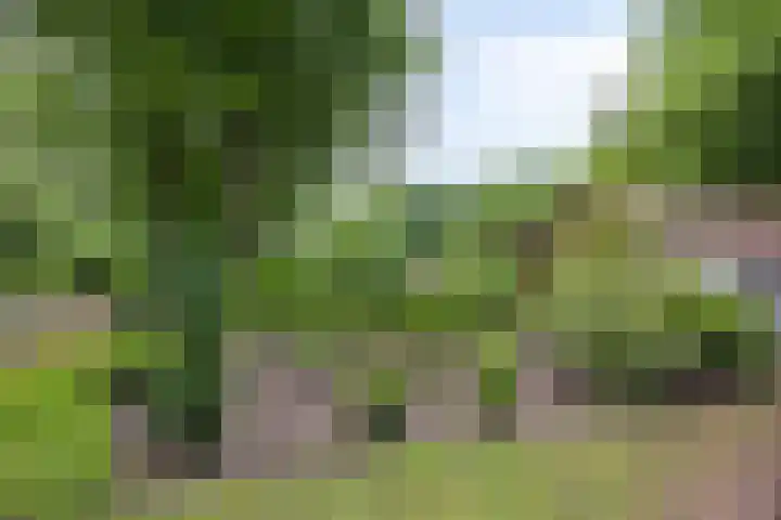 Valtherweg 36 064 Exloo thumbnail 19