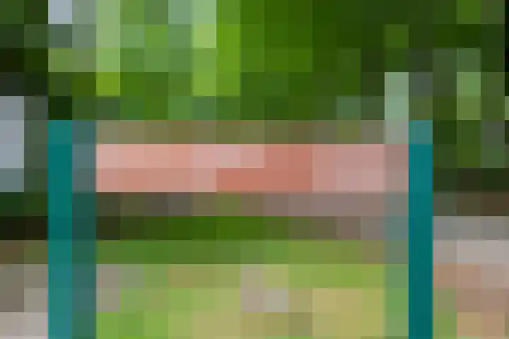 Valtherweg 36 064 Exloo thumbnail 22