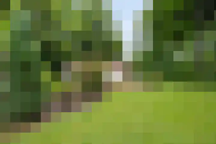 Valtherweg 36 064 Exloo thumbnail 29