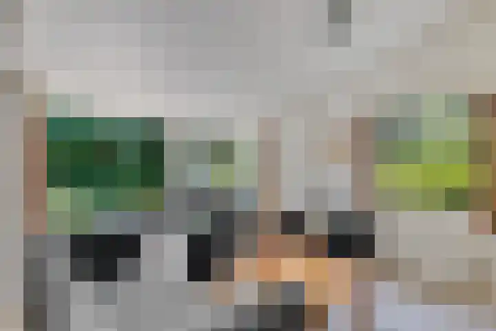Valtherweg 36 066 Exloo thumbnail 13