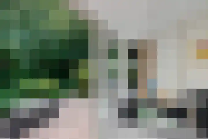 Valtherweg 36 066 Exloo thumbnail 15