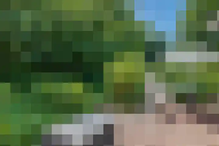 Valtherweg 36 066 Exloo thumbnail 22