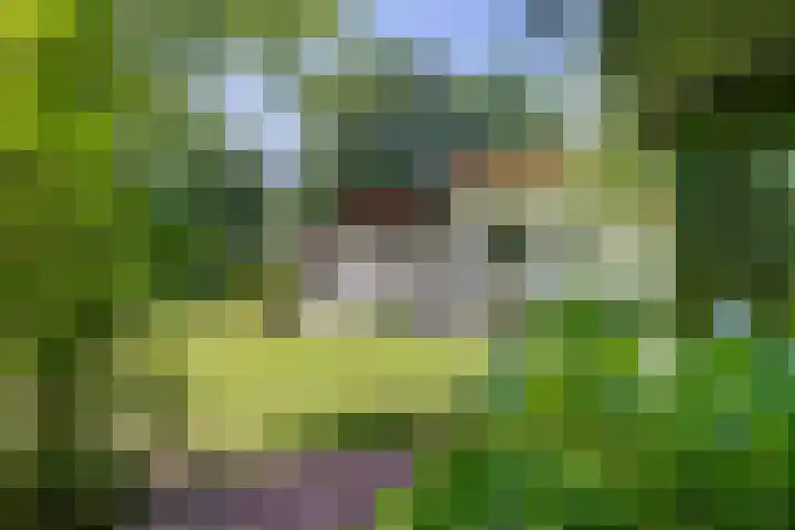Valtherweg 36 066 Exloo thumbnail 23