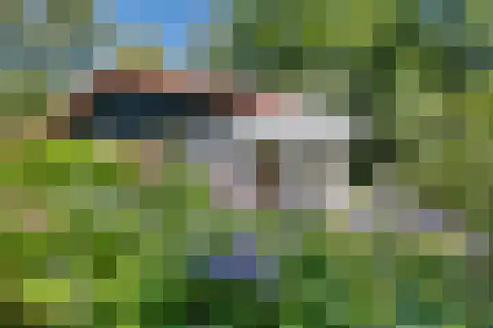 Valtherweg 36 066 Exloo thumbnail 25
