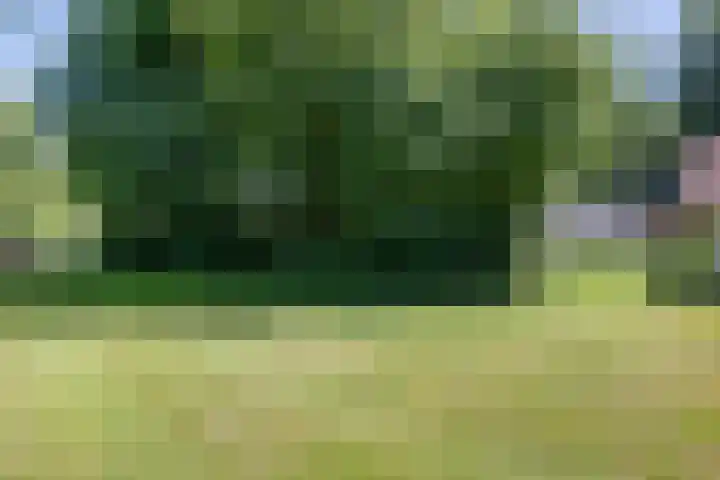 Valtherweg 36 066 Exloo thumbnail 27
