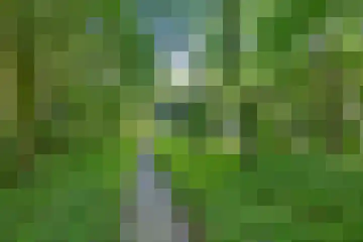 Valtherweg 36 066 Exloo thumbnail 28