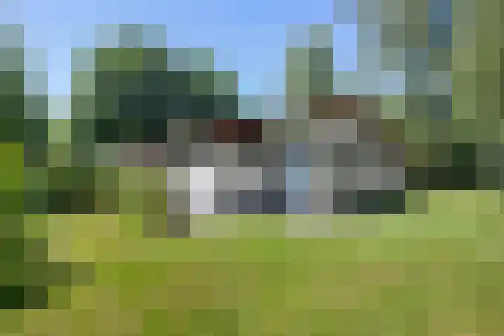 Valtherweg 36 066 Exloo thumbnail 4