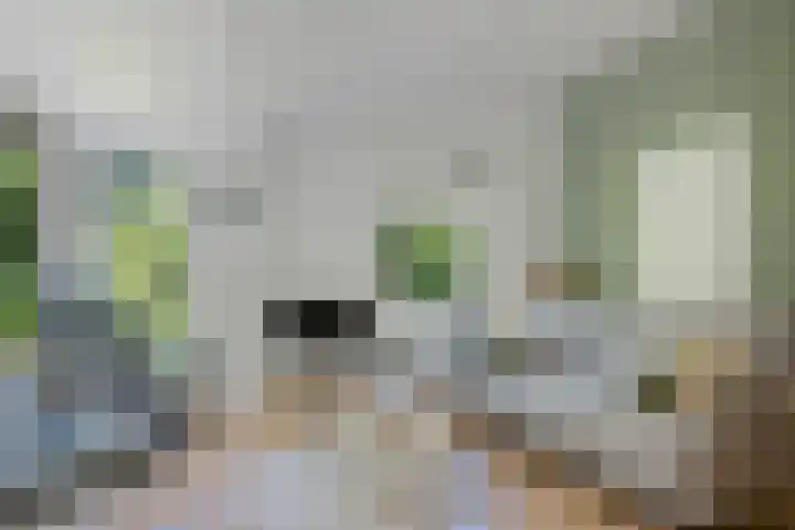 Valtherweg 36 075 Exloo thumbnail 14