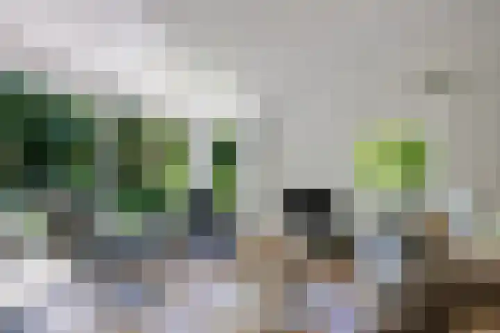 Valtherweg 36 075 Exloo thumbnail 15