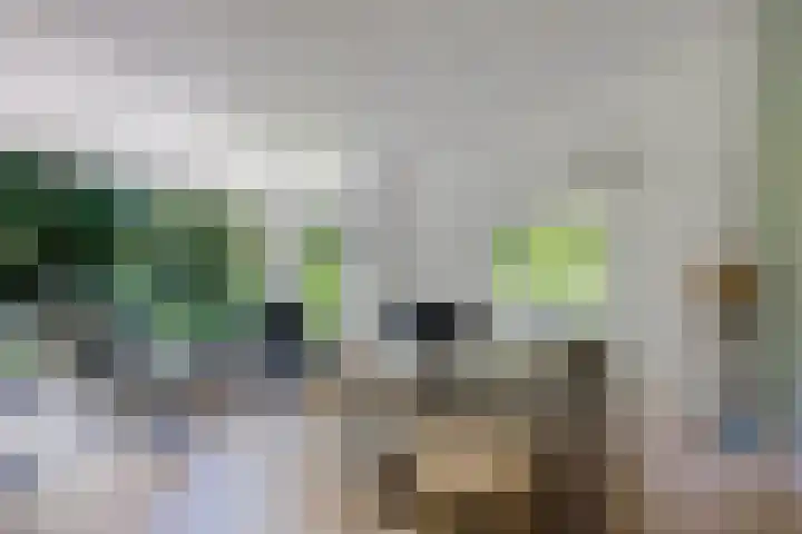 Valtherweg 36 075 Exloo thumbnail 18