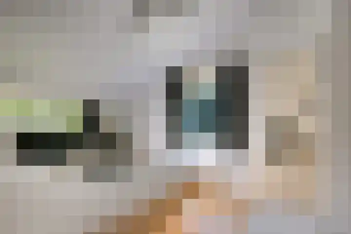 Valtherweg 36 075 Exloo thumbnail 22