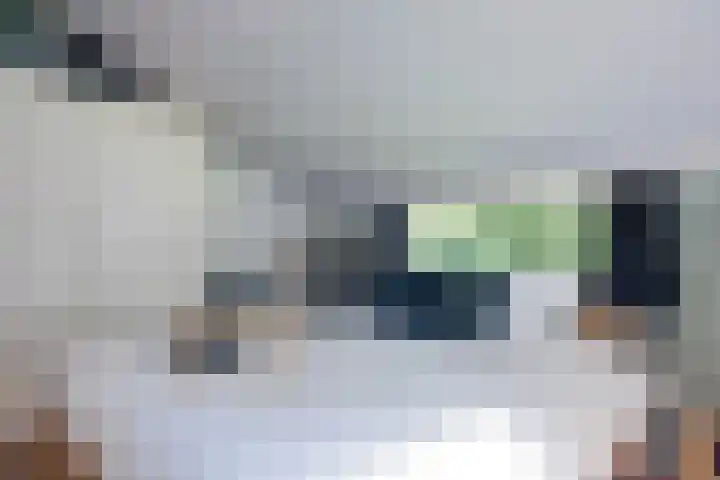 Valtherweg 36 075 Exloo thumbnail 23