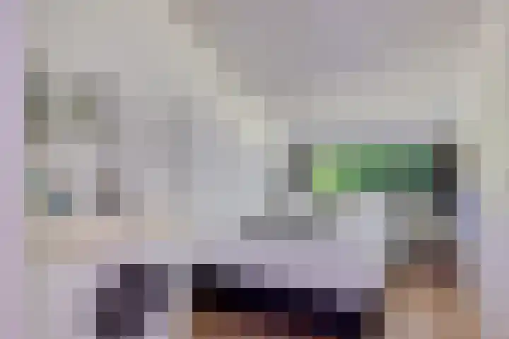 Valtherweg 36 075 Exloo thumbnail 27