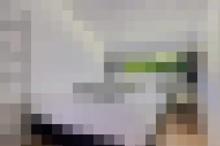 Valtherweg 36 075 Exloo thumbnail 28