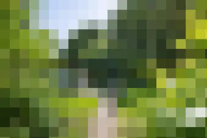Valtherweg 36 075 Exloo thumbnail 34