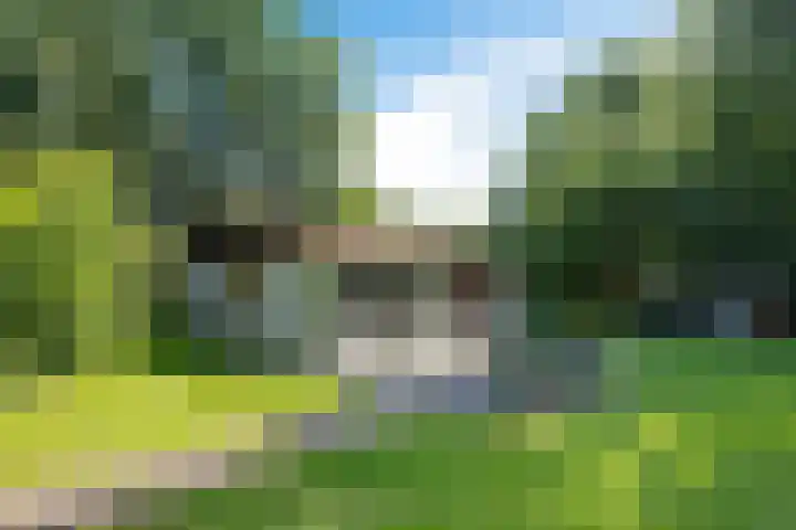 Valtherweg 36 075 Exloo thumbnail 35