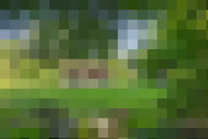 Valtherweg 36 075 Exloo thumbnail 36