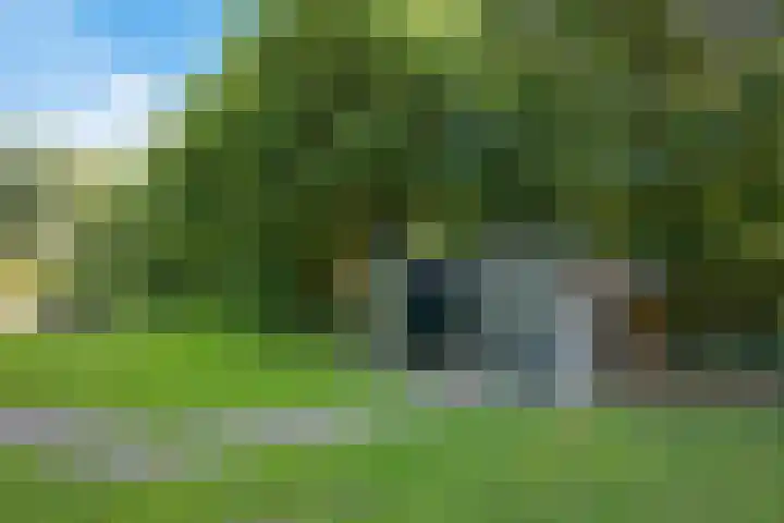 Valtherweg 36 075 Exloo thumbnail 37