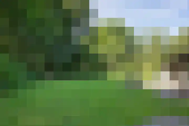 Valtherweg 36 075 Exloo thumbnail 38