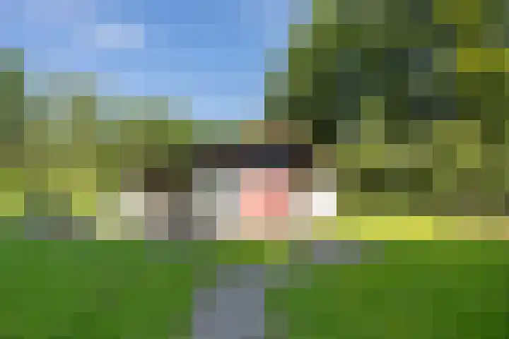 Valtherweg 36 075 Exloo thumbnail 4