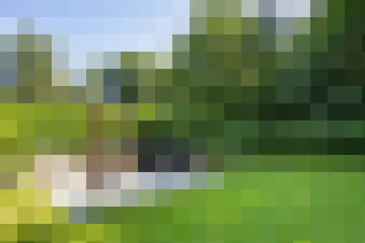 Valtherweg 36 075 Exloo thumbnail 40
