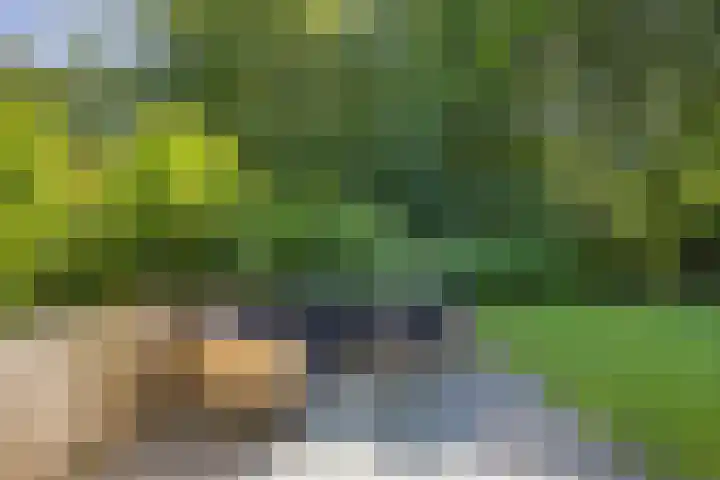 Valtherweg 36 075 Exloo thumbnail 41