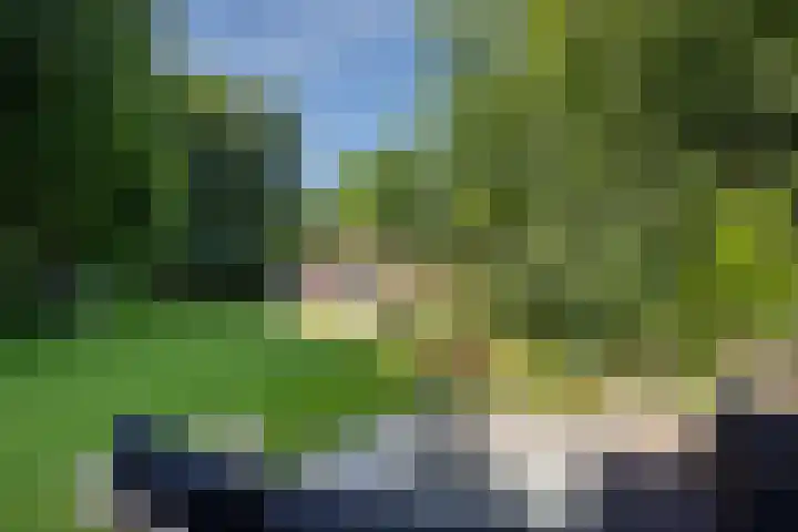Valtherweg 36 075 Exloo thumbnail 42
