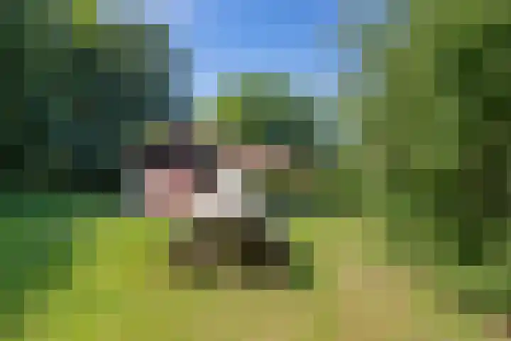 Valtherweg 36 075 Exloo thumbnail 43