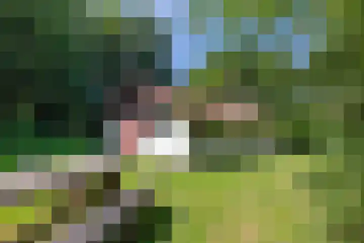 Valtherweg 36 075 Exloo thumbnail 44