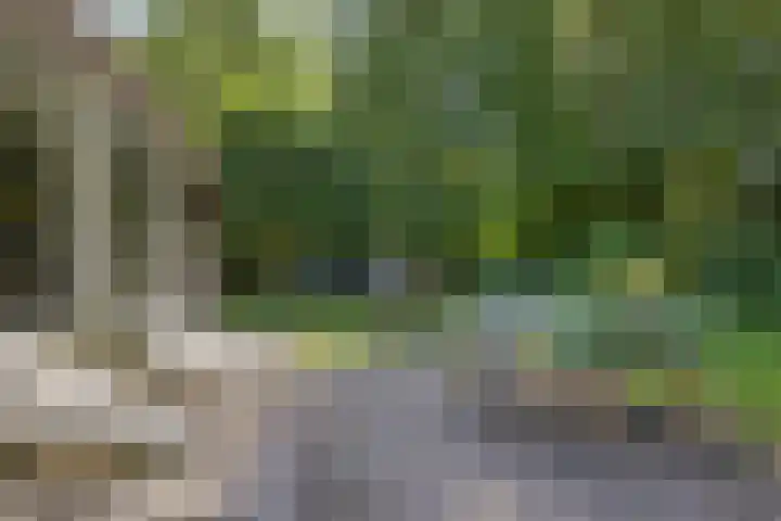 Valtherweg 36 075 Exloo thumbnail 46