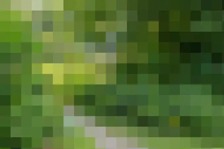 Valtherweg 36 075 Exloo thumbnail 48
