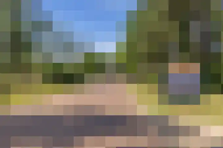 Valtherweg 36 075 Exloo thumbnail 49