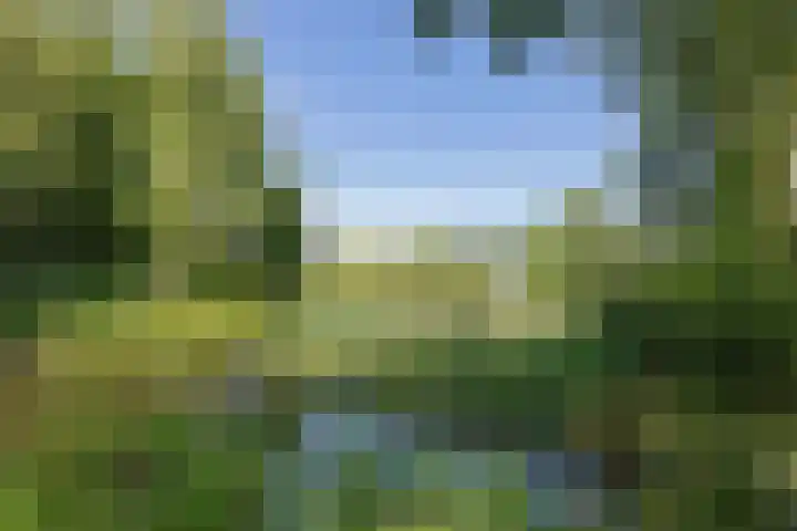 Valtherweg 36 075 Exloo thumbnail 50