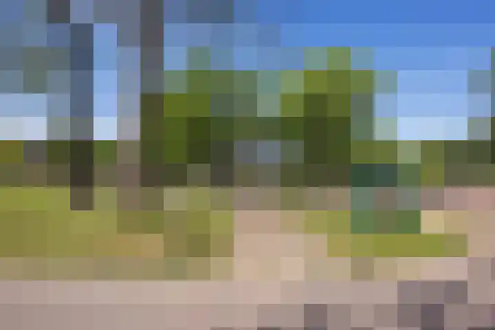 Valtherweg 36 075 Exloo thumbnail 51