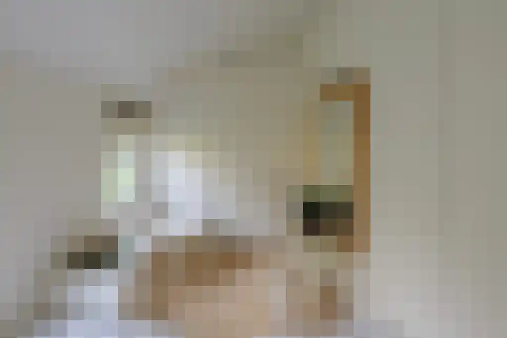 Valtherweg 36 079 Exloo thumbnail 18