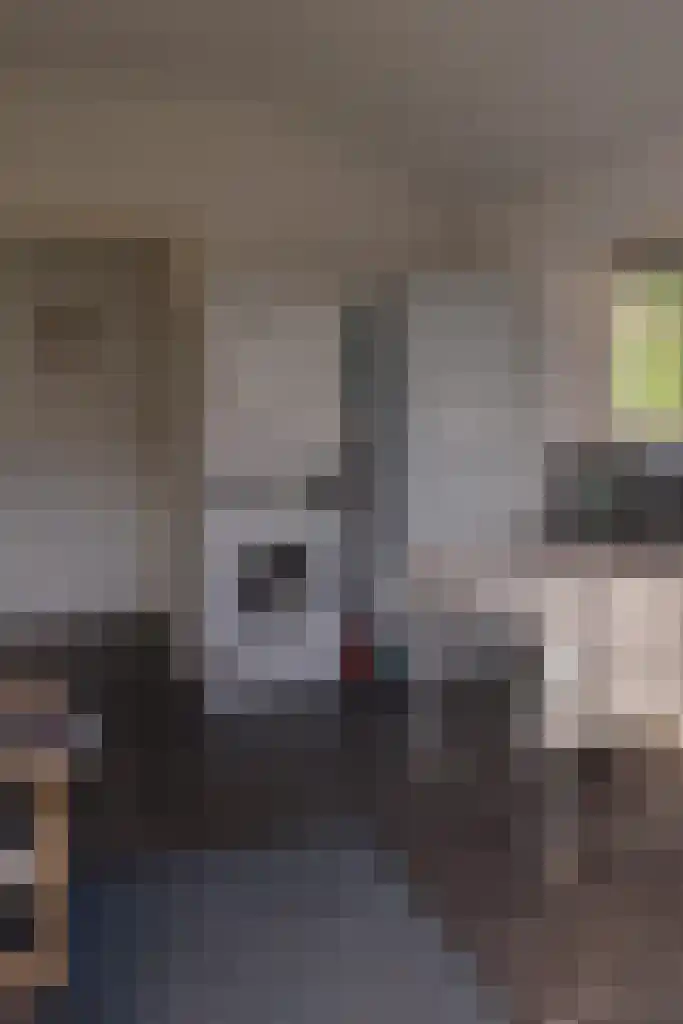 Valtherweg 36 079 Exloo thumbnail 20