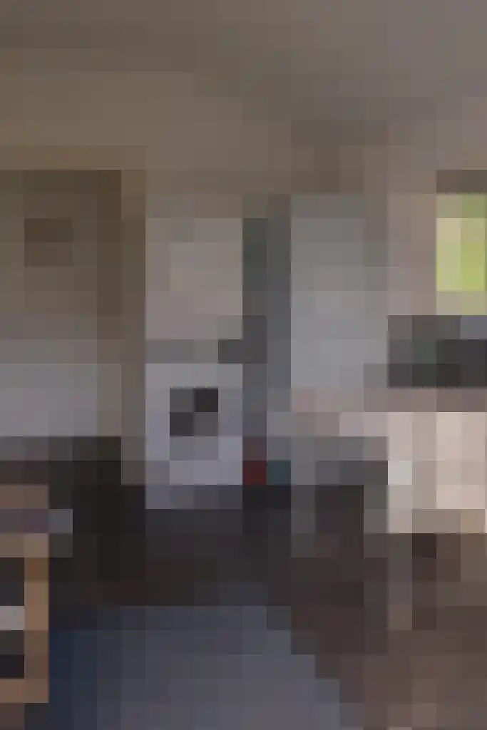 Valtherweg 36 079 Exloo thumbnail 20