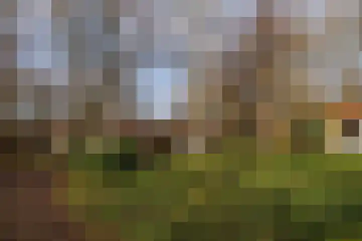 Valtherweg 36 079 Exloo thumbnail 27