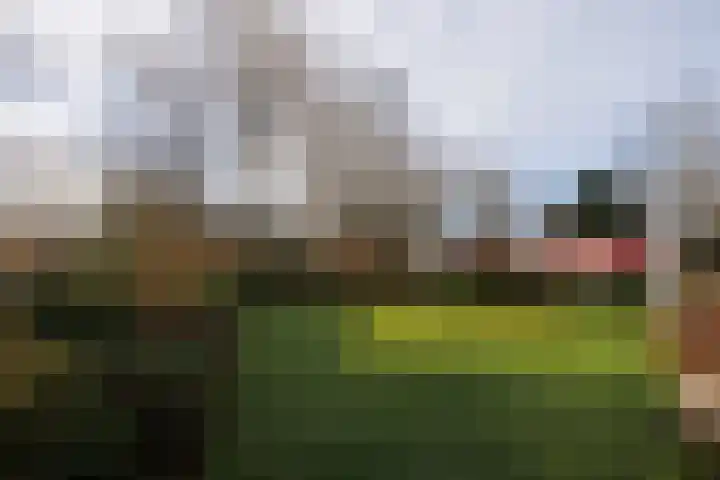 Valtherweg 36 079 Exloo thumbnail 29