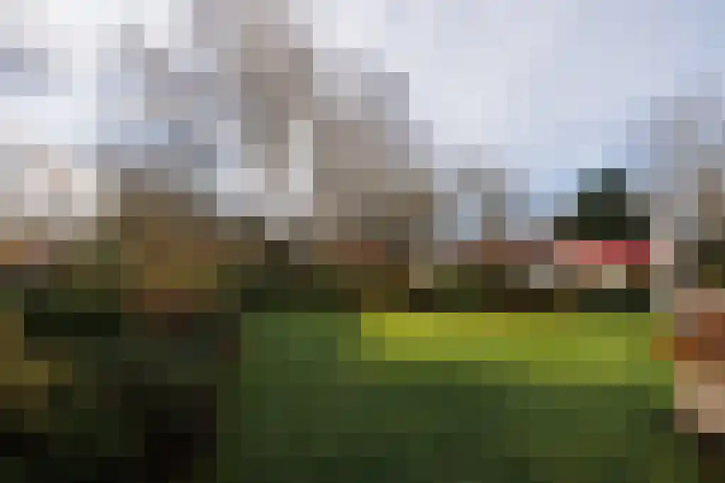 Valtherweg 36 079 Exloo thumbnail 29