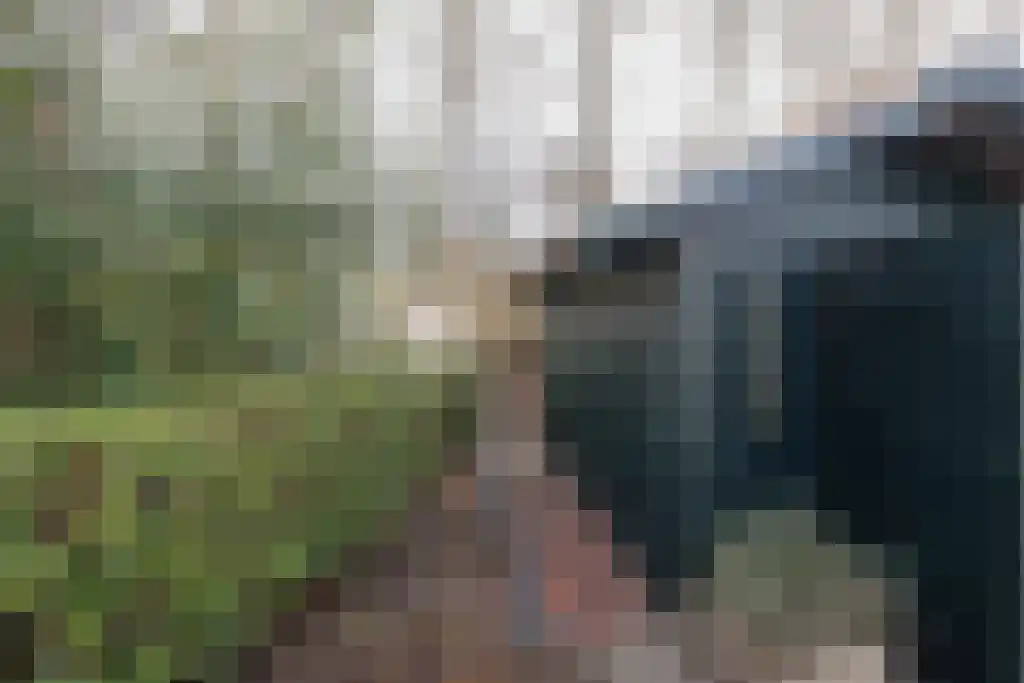 Valtherweg 36 079 Exloo thumbnail 30