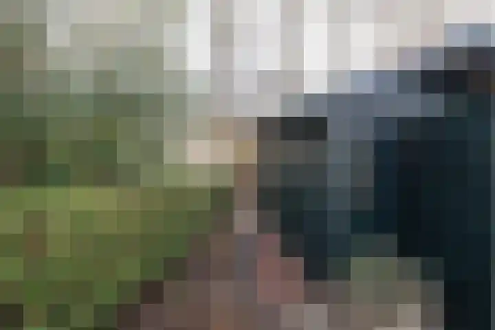 Valtherweg 36 079 Exloo thumbnail 30