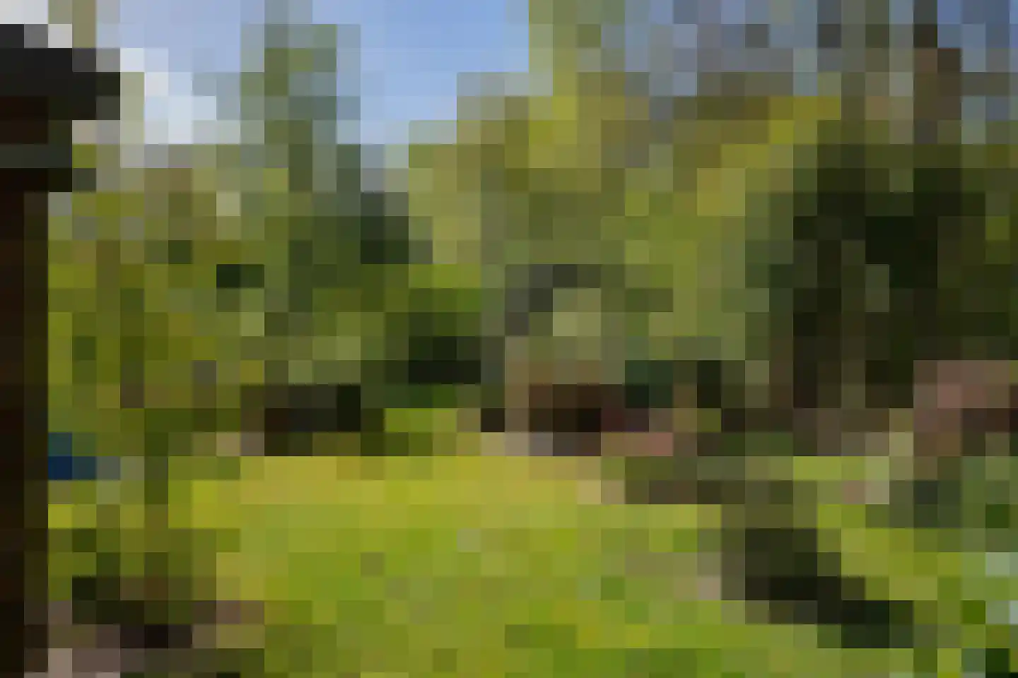 Valtherweg 36 085 Exloo thumbnail 10