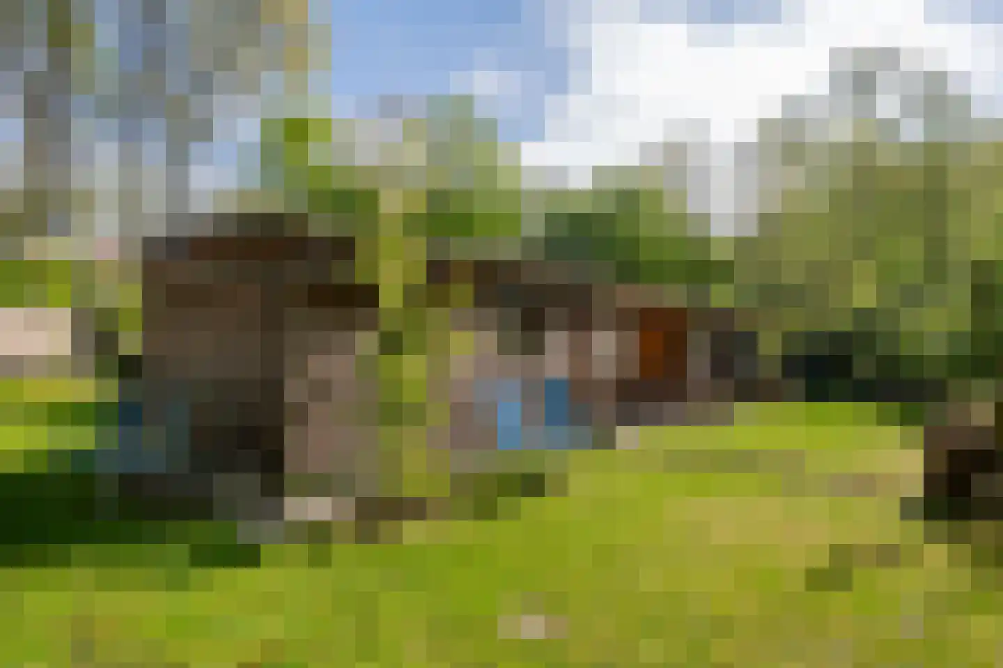 Valtherweg 36 085 Exloo thumbnail 11