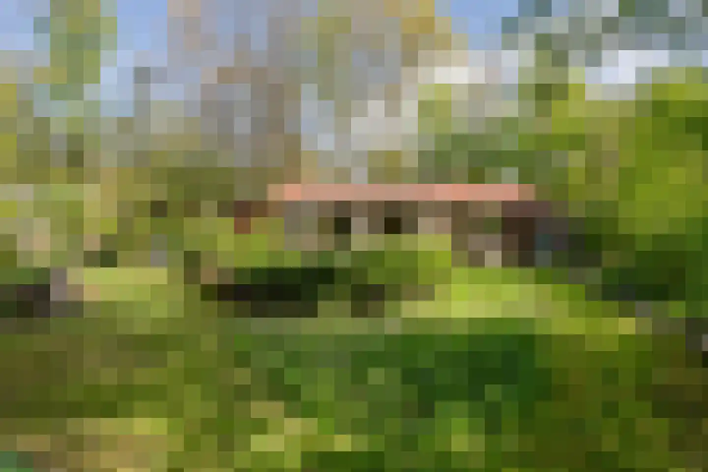 Valtherweg 36 085 Exloo thumbnail 13