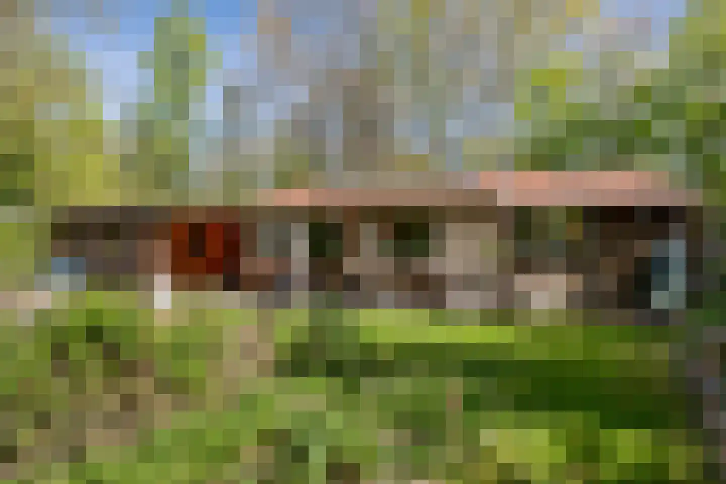 Valtherweg 36 085 Exloo thumbnail 16