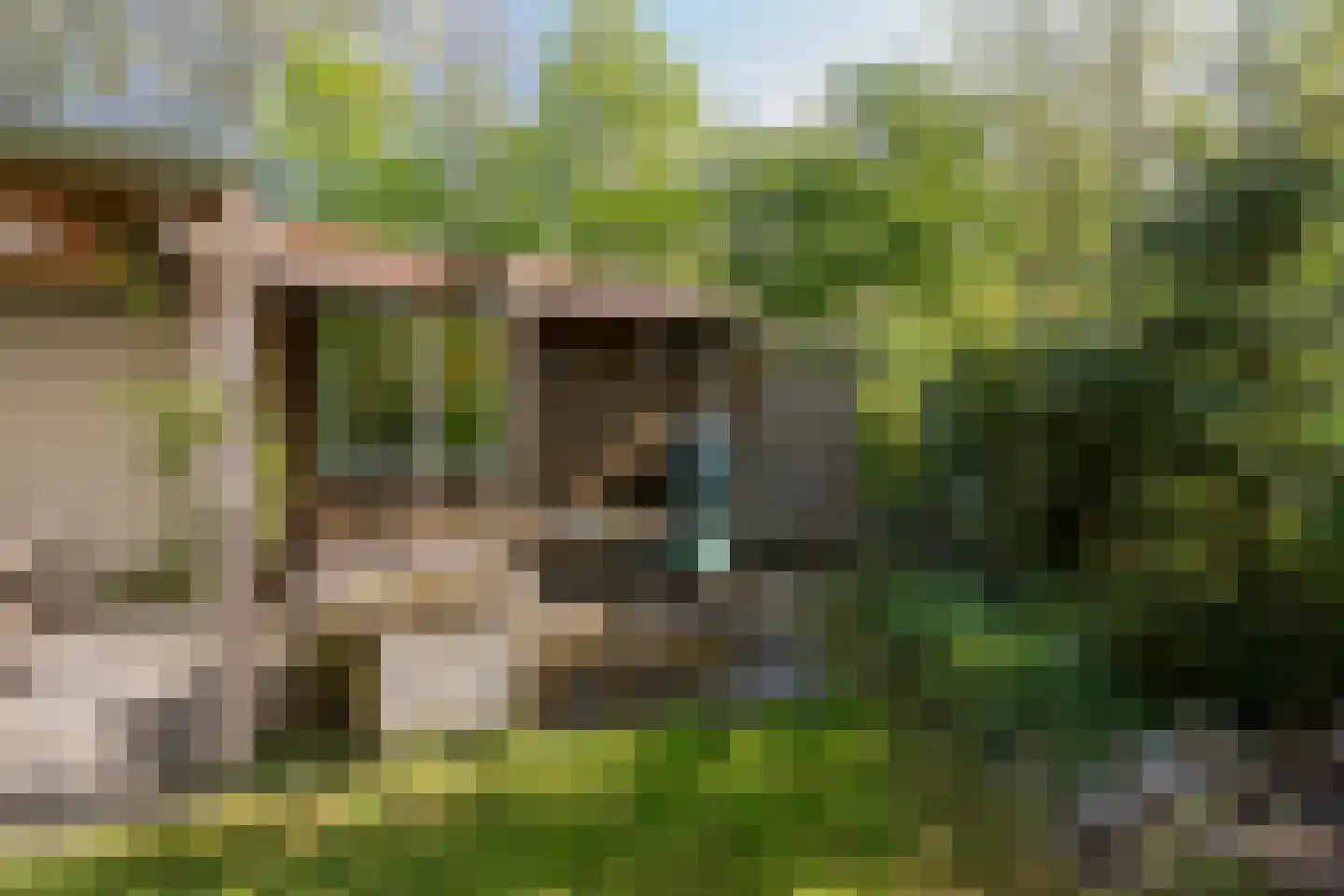 Valtherweg 36 085 Exloo thumbnail 17